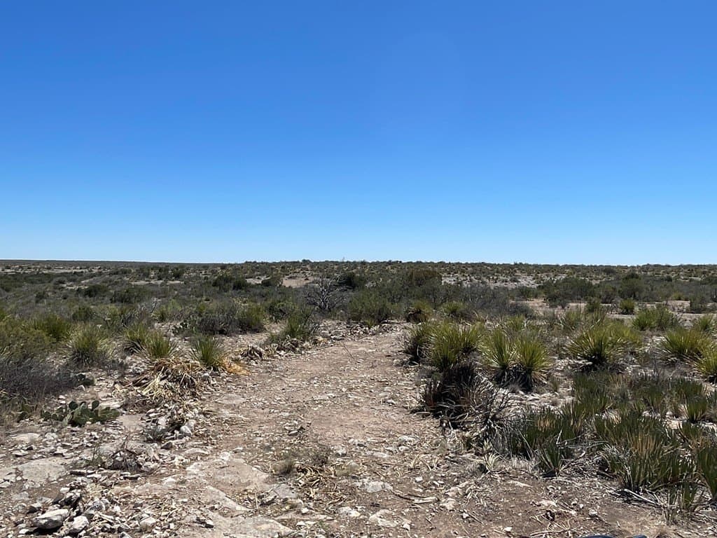 686 acres in Terrell County - photo 44