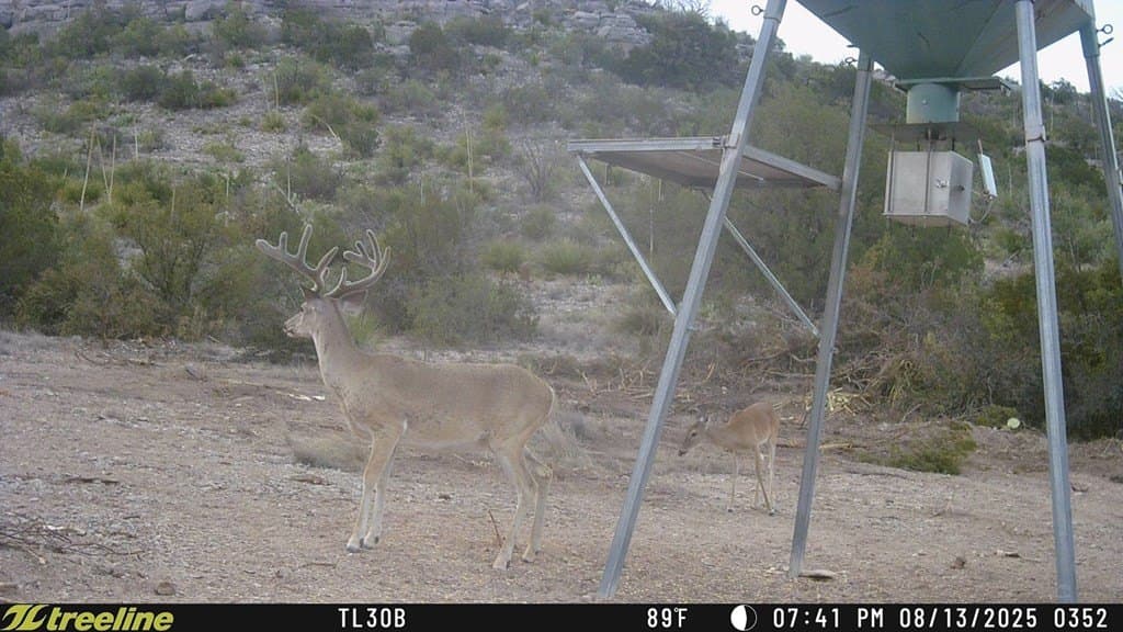 686 acres in Terrell County - photo 20