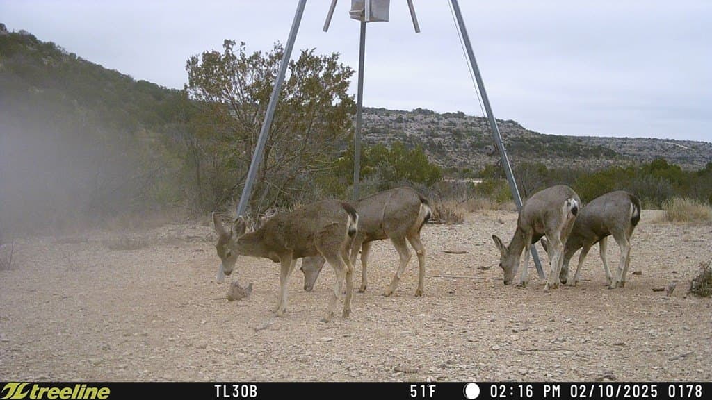 686 acres in Terrell County - photo 25