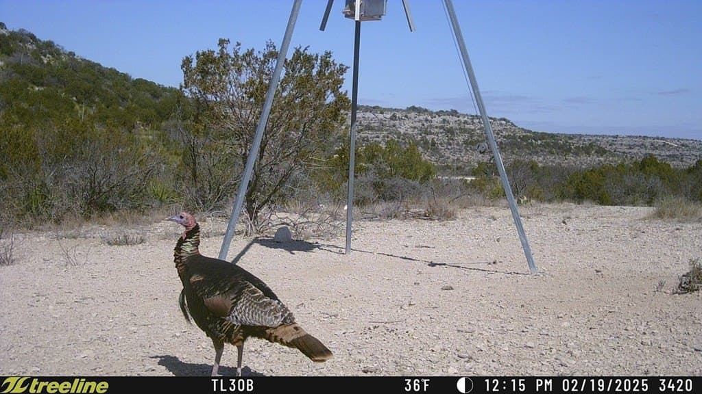 686 acres in Terrell County - photo 32