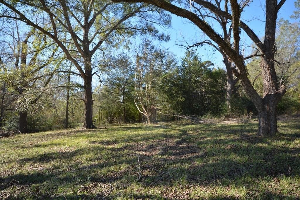 18 acres in Texas County