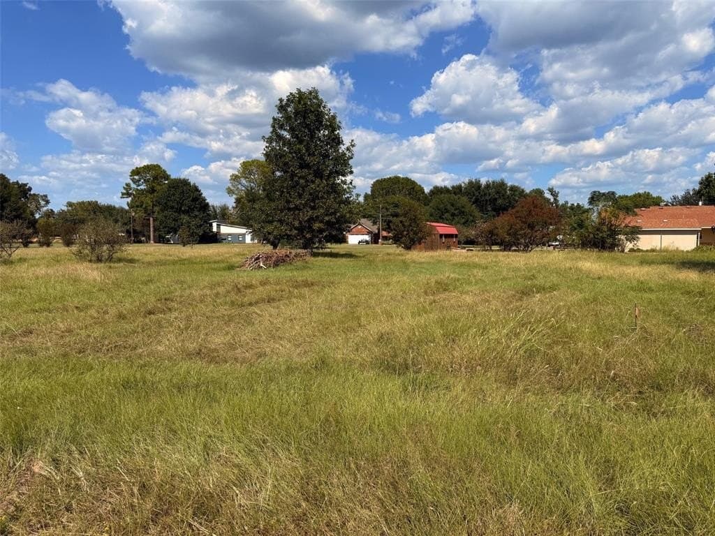 0.24 acres in Henderson County gallery image 4