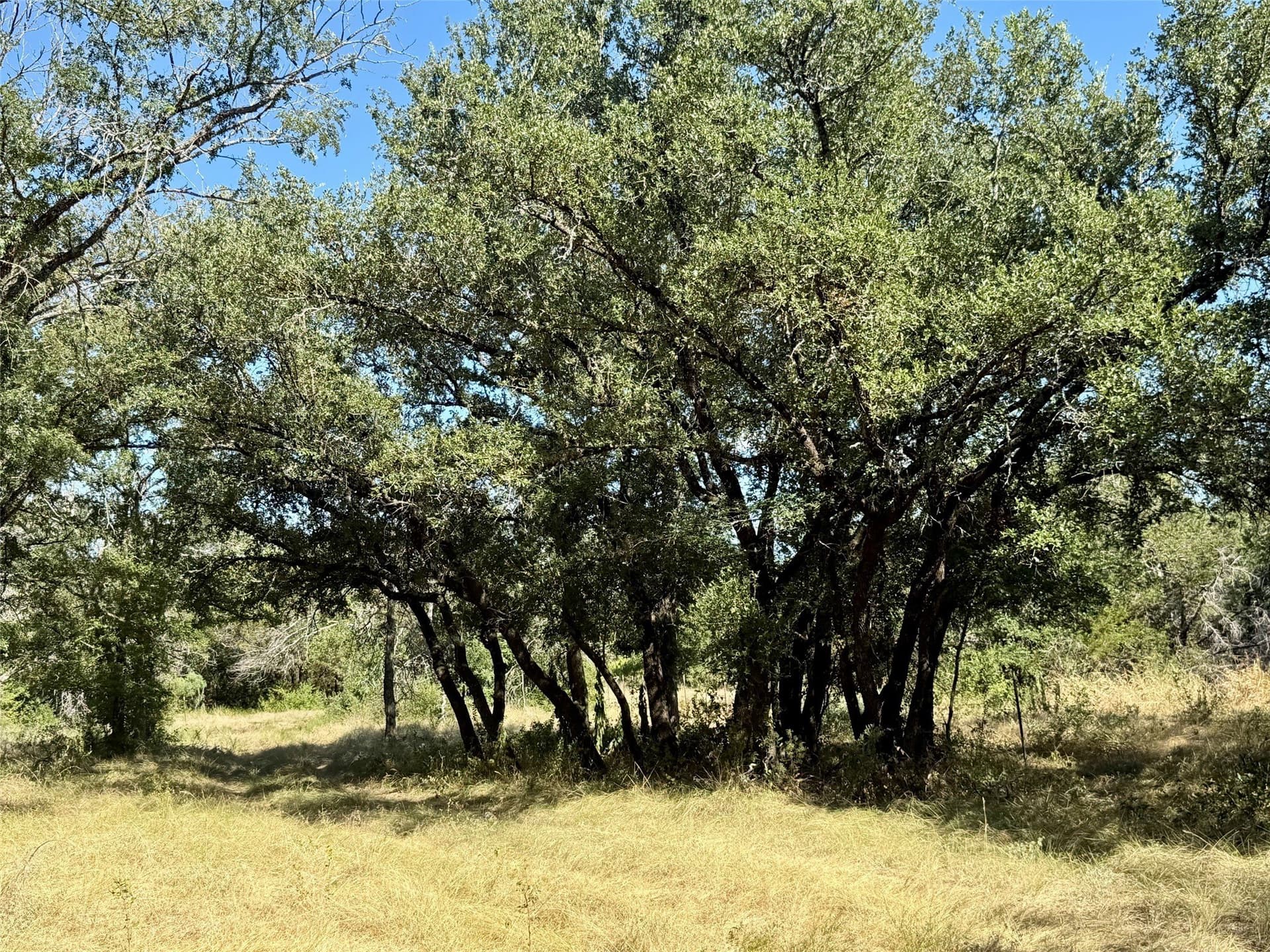 33.33 acres in Hamilton County - photo 3