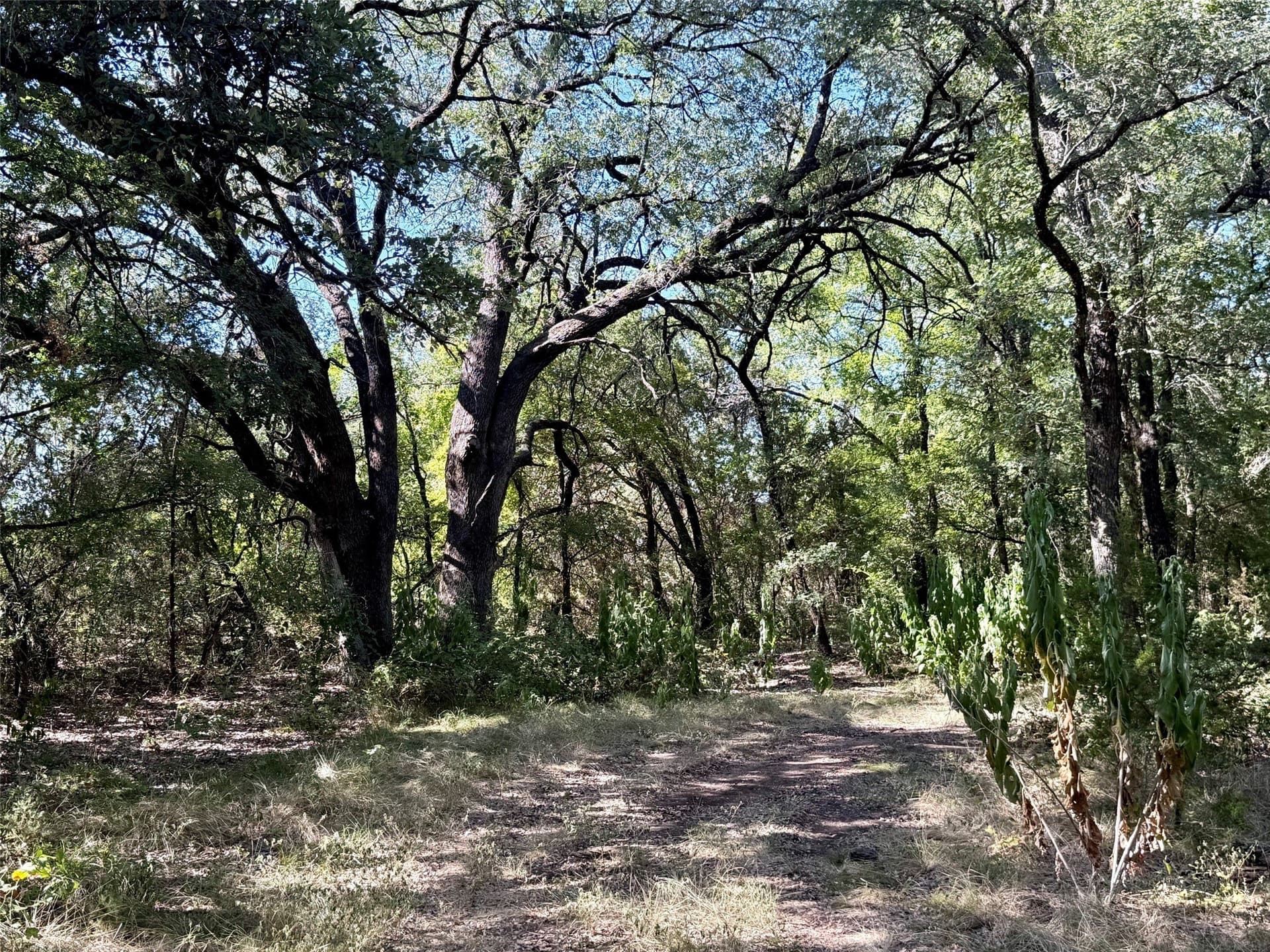 33.33 acres in Hamilton County - photo 6