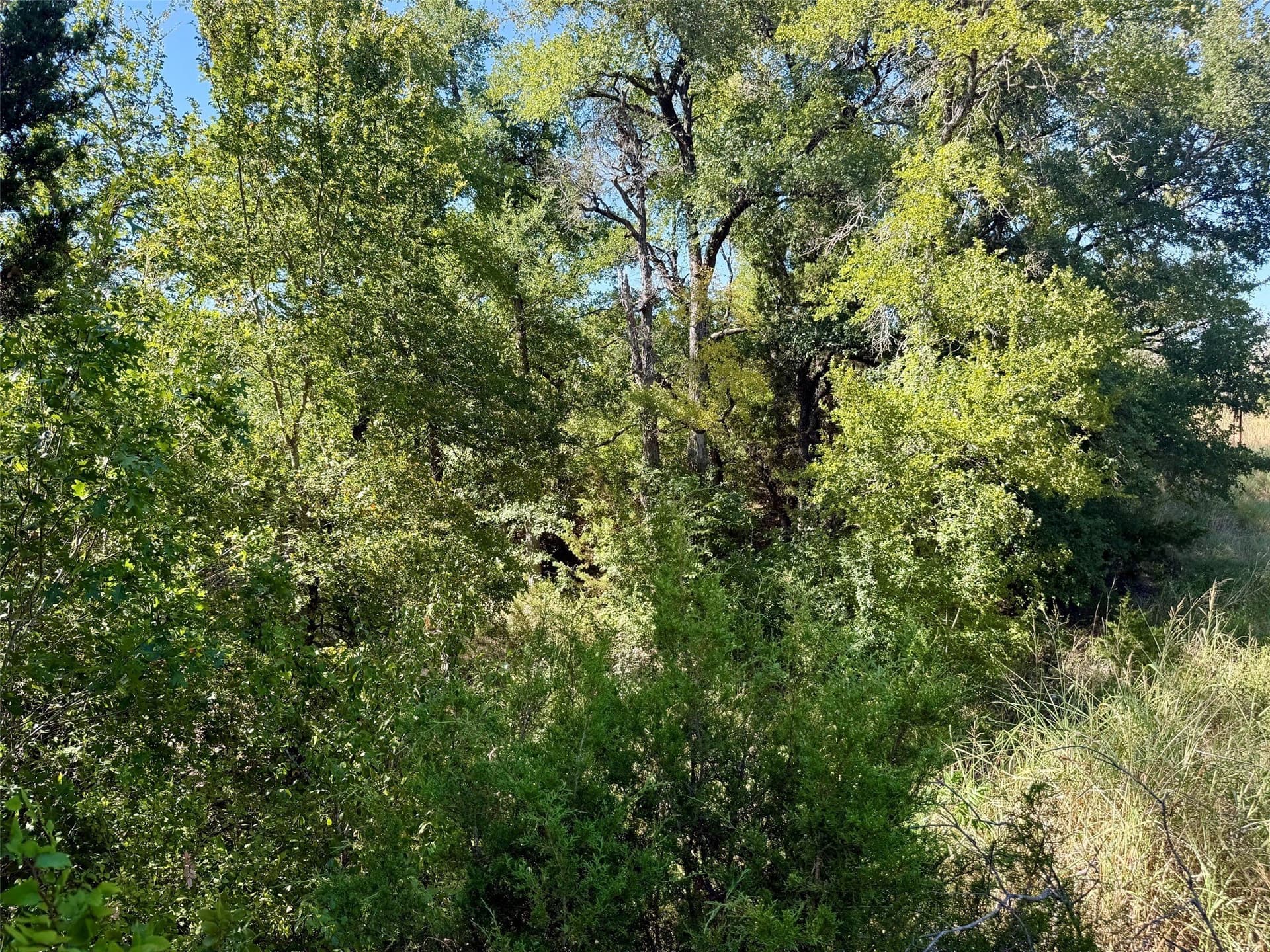 33.33 acres in Hamilton County - photo 22
