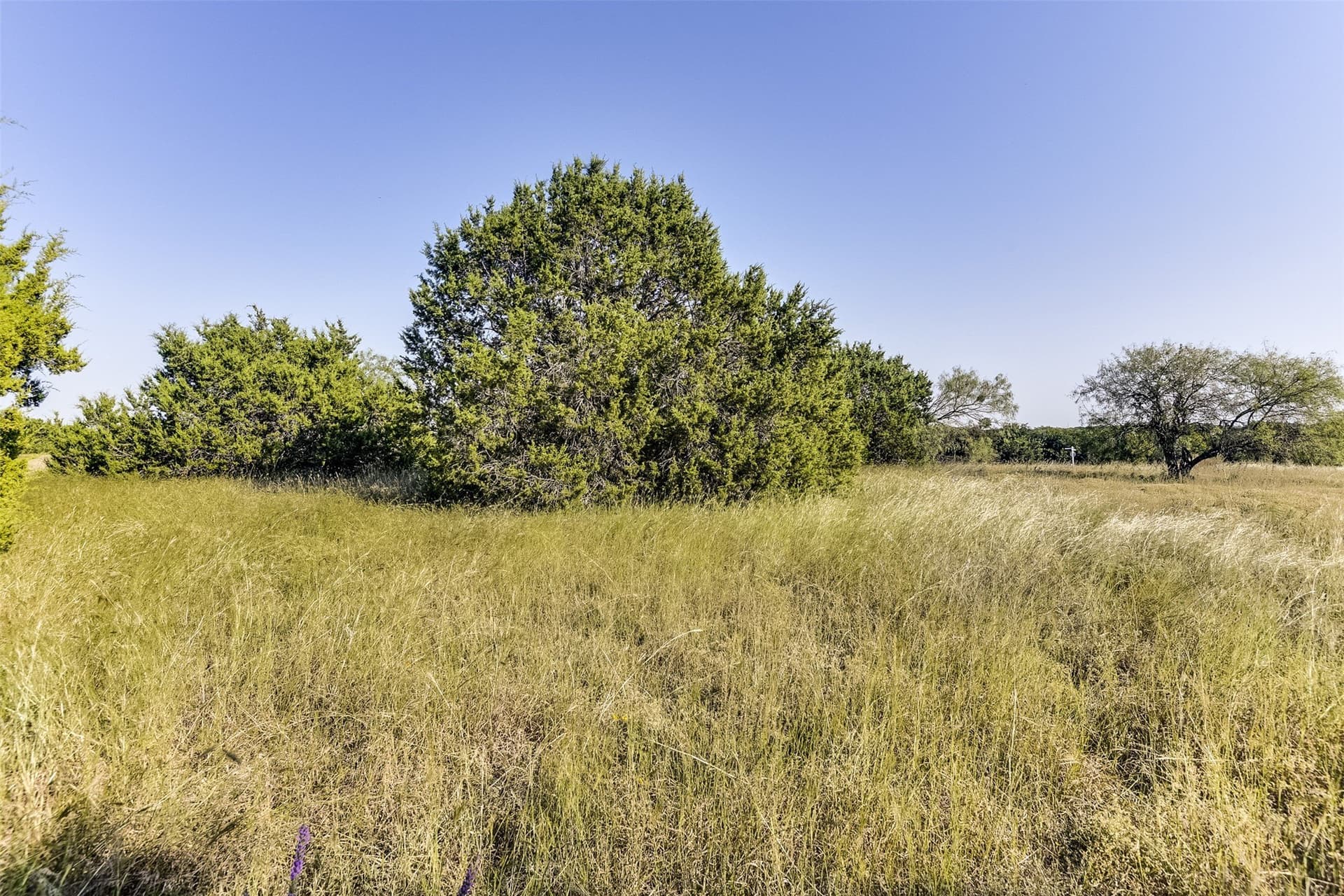 0.72 acres in Hill County - photo 10