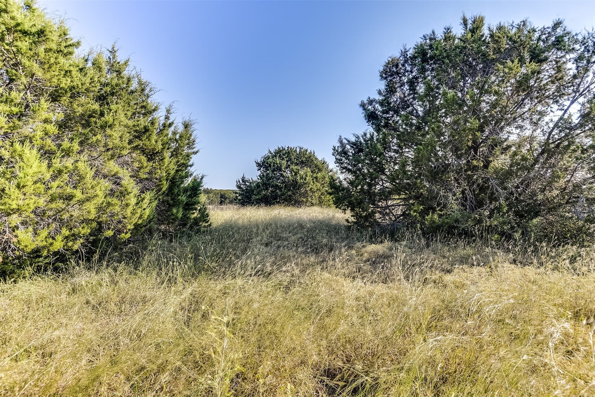 0.72 acres in Hill County - photo 11