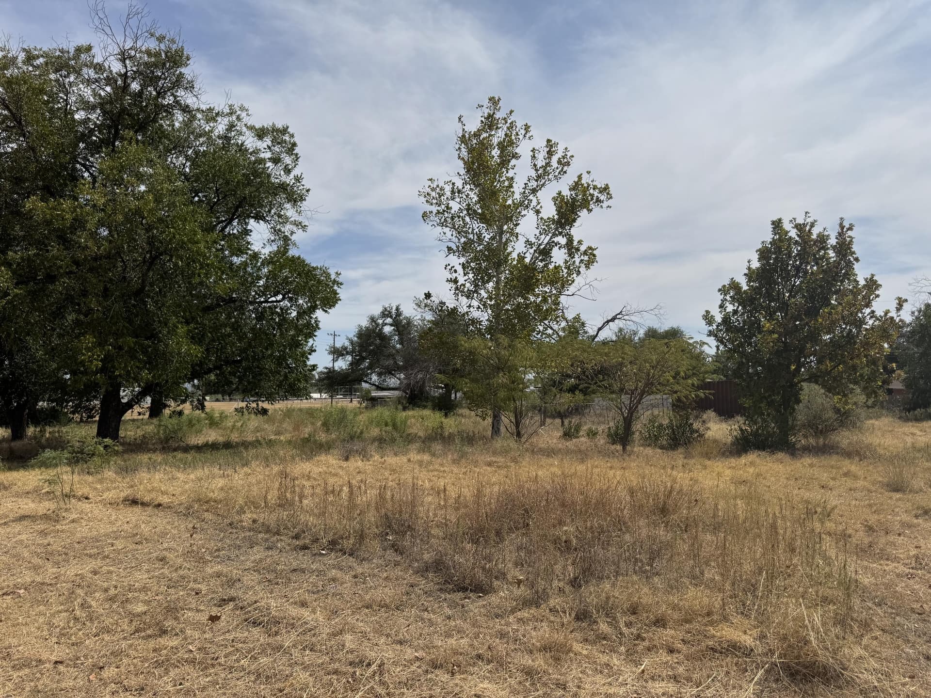 0.69 acres in Coke County - photo 2
