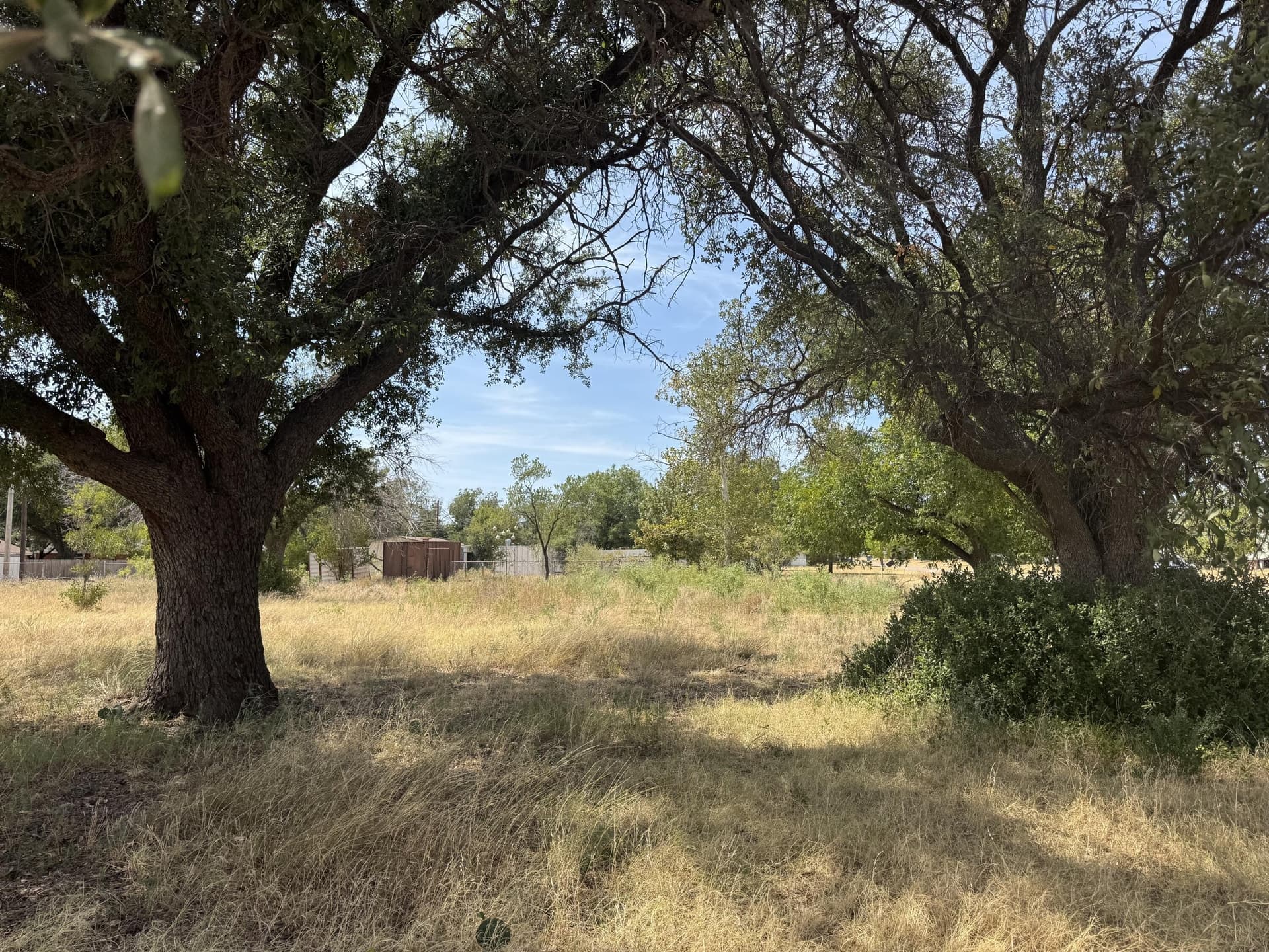 0.69 acres in Coke County - photo 14