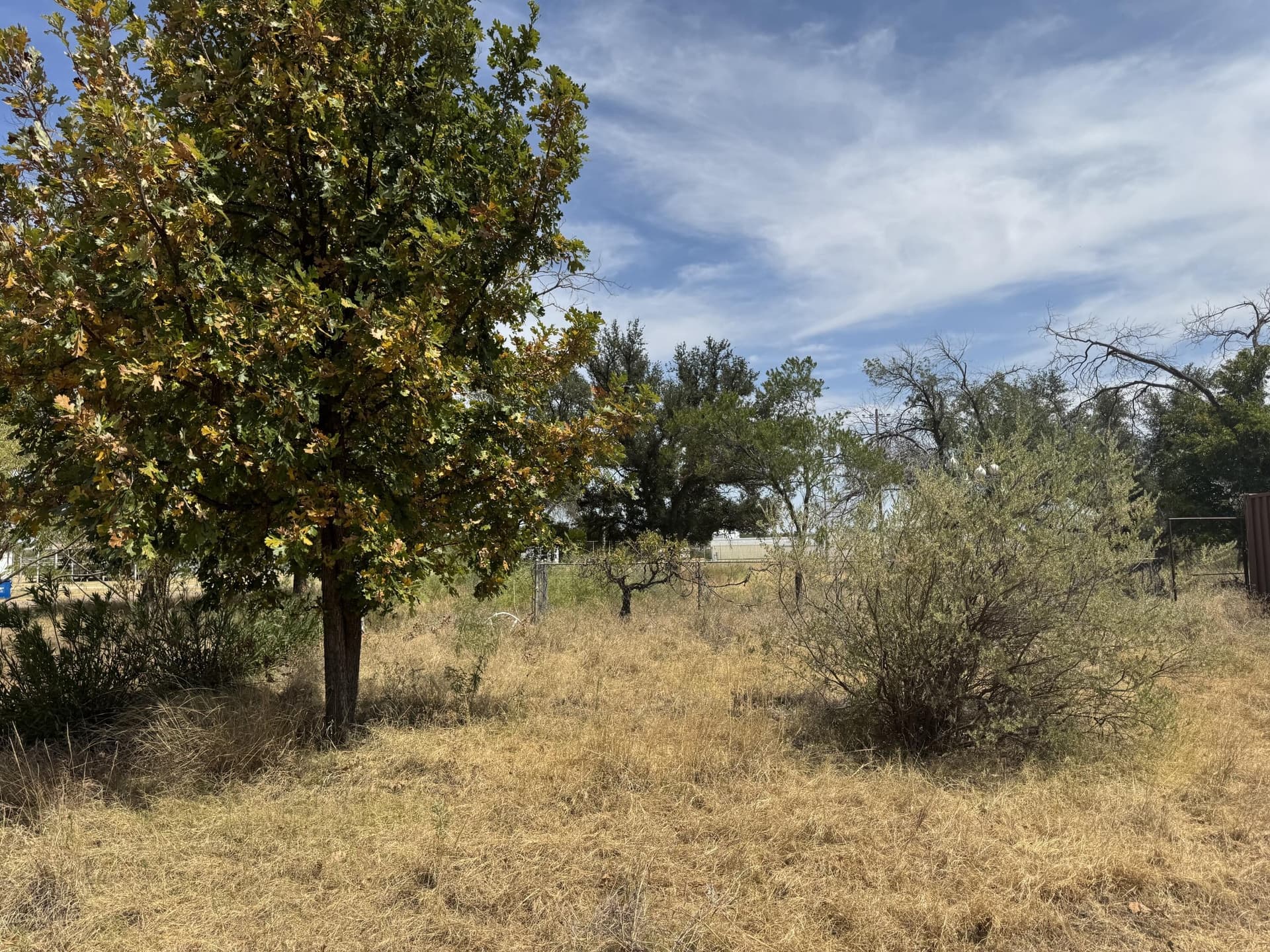 0.69 acres in Coke County - photo 4