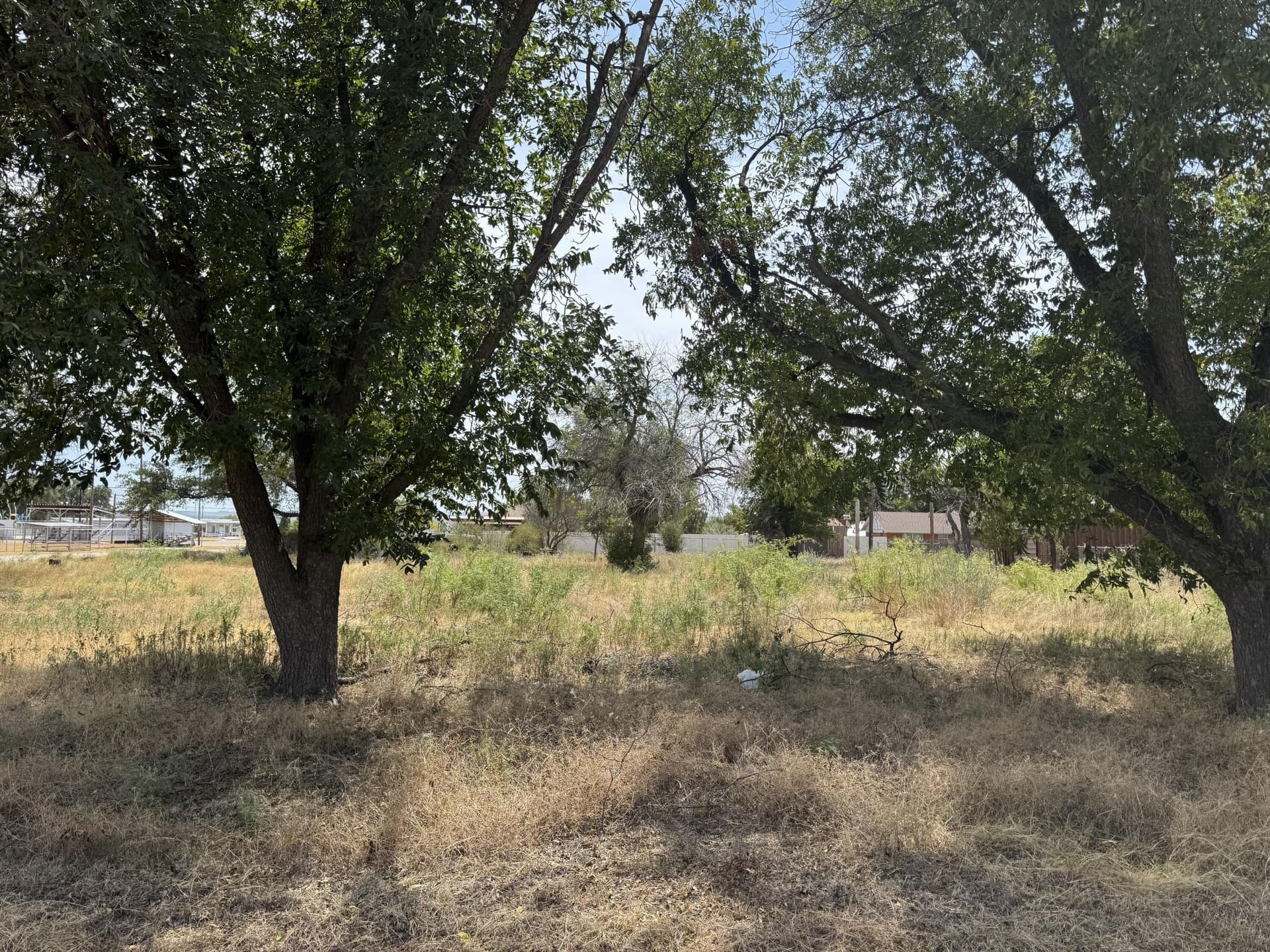 0.69 acres in Coke County - photo 3