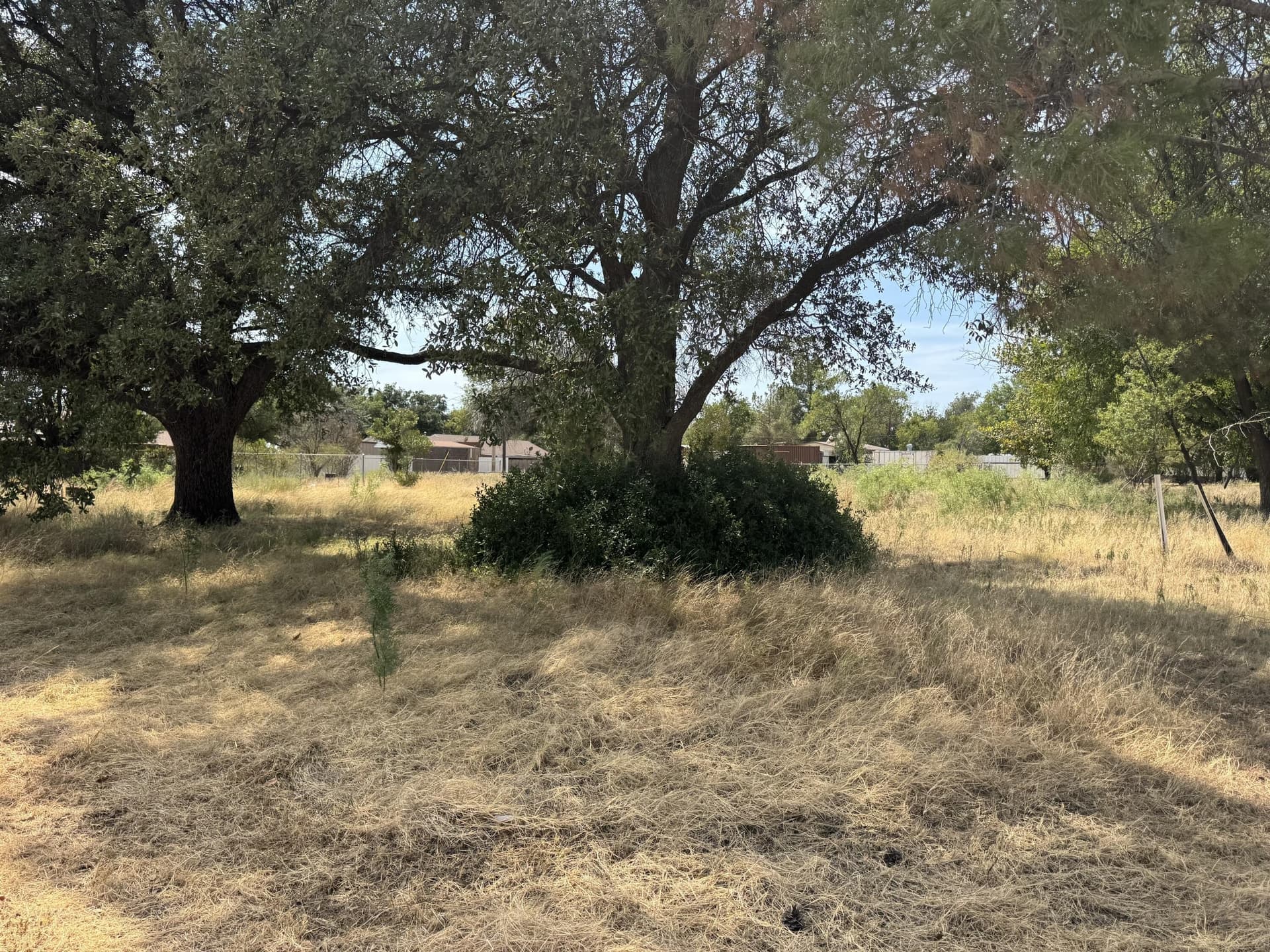 0.69 acres in Coke County - photo 15
