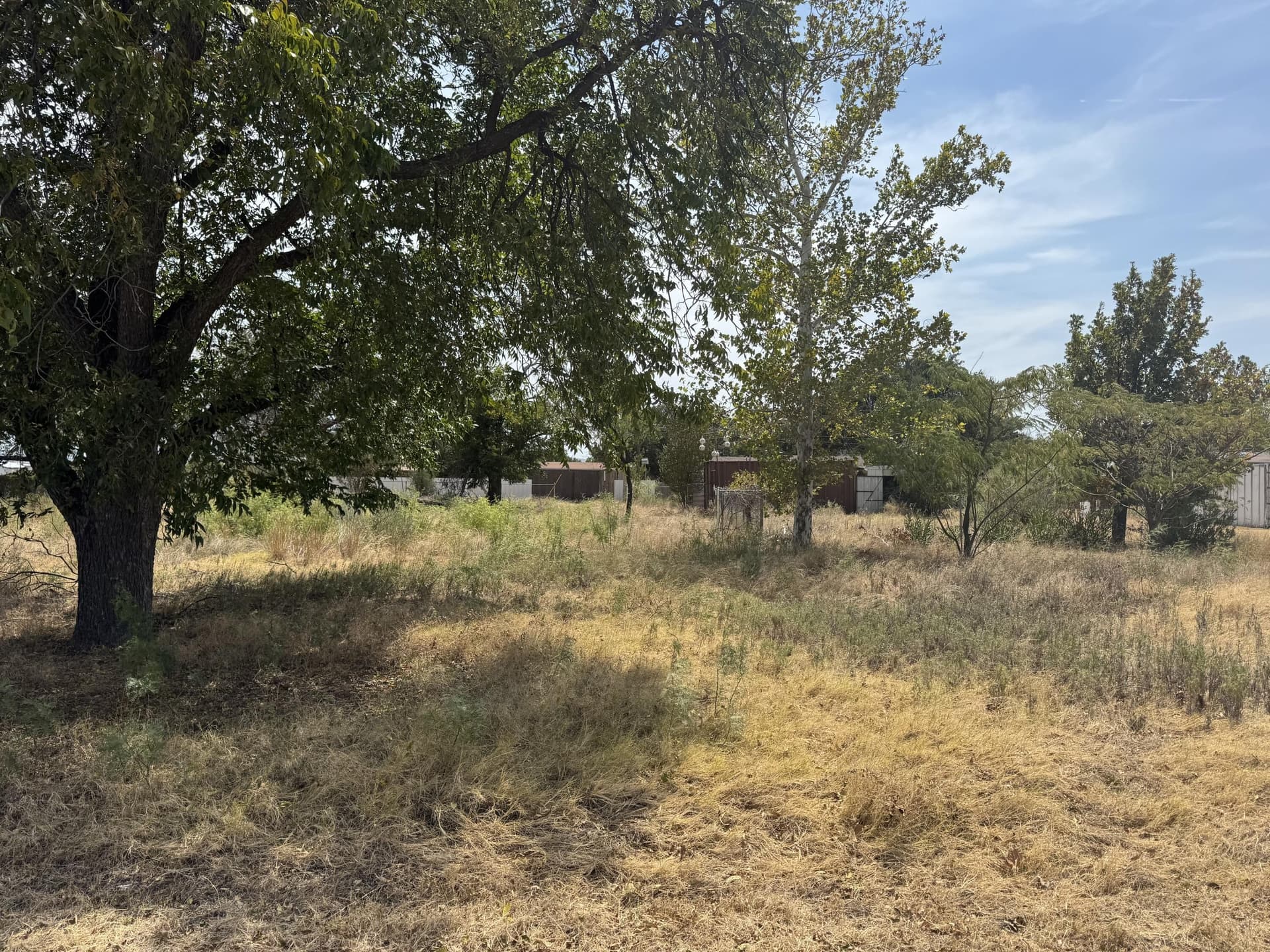 0.69 acres in Coke County - photo 17