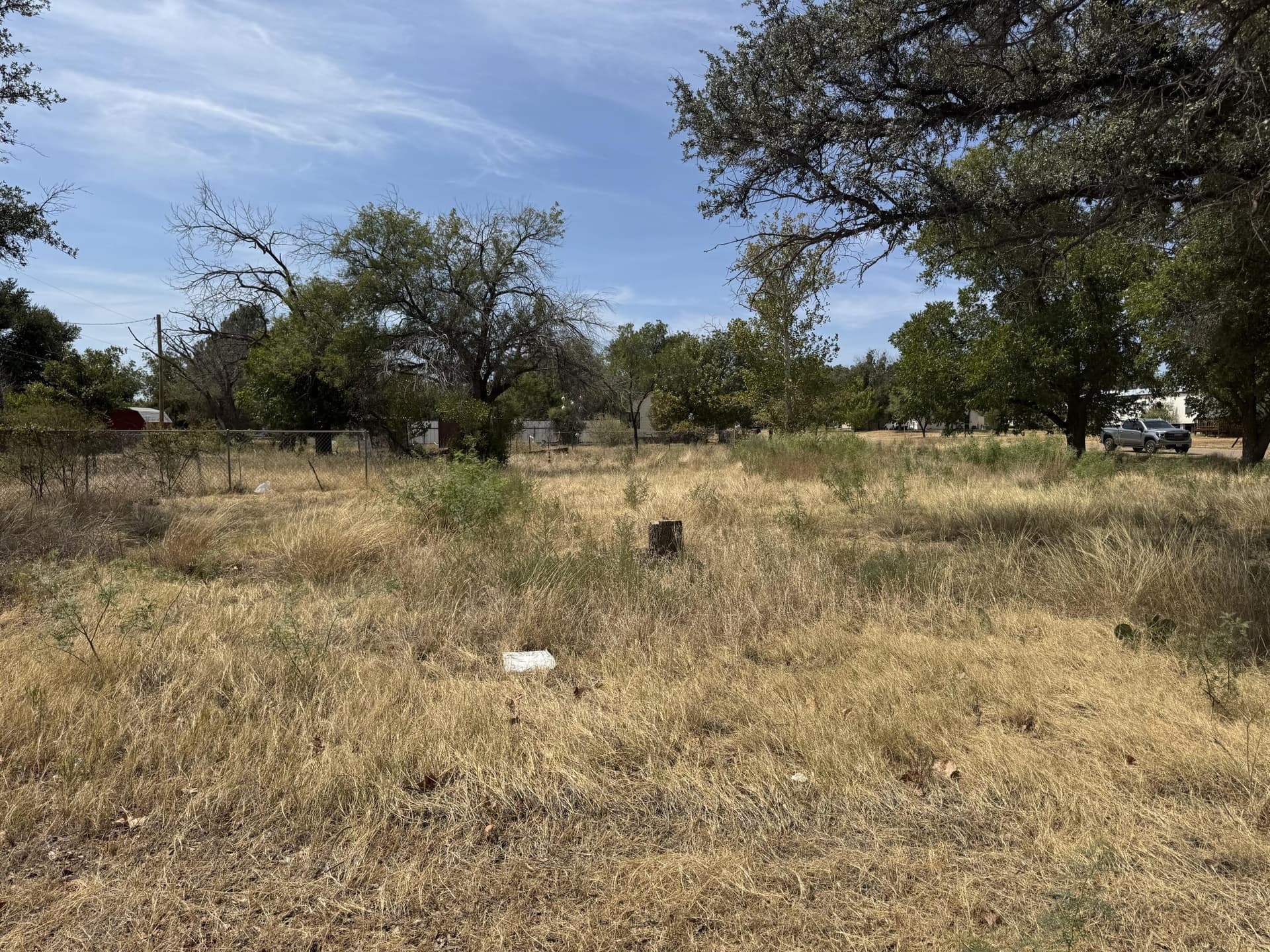 0.69 acres in Coke County - photo 13