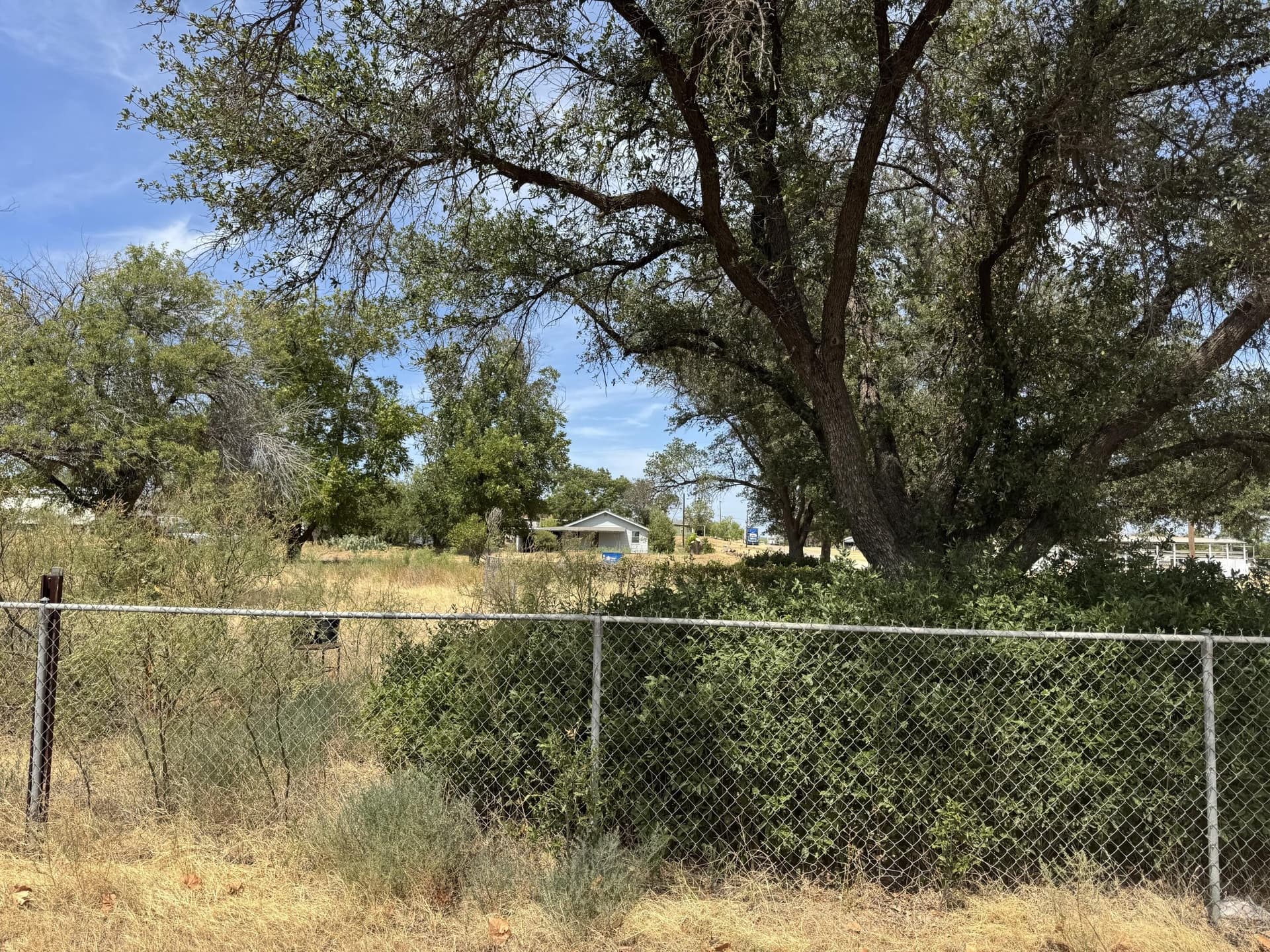 0.69 acres in Coke County - photo 10