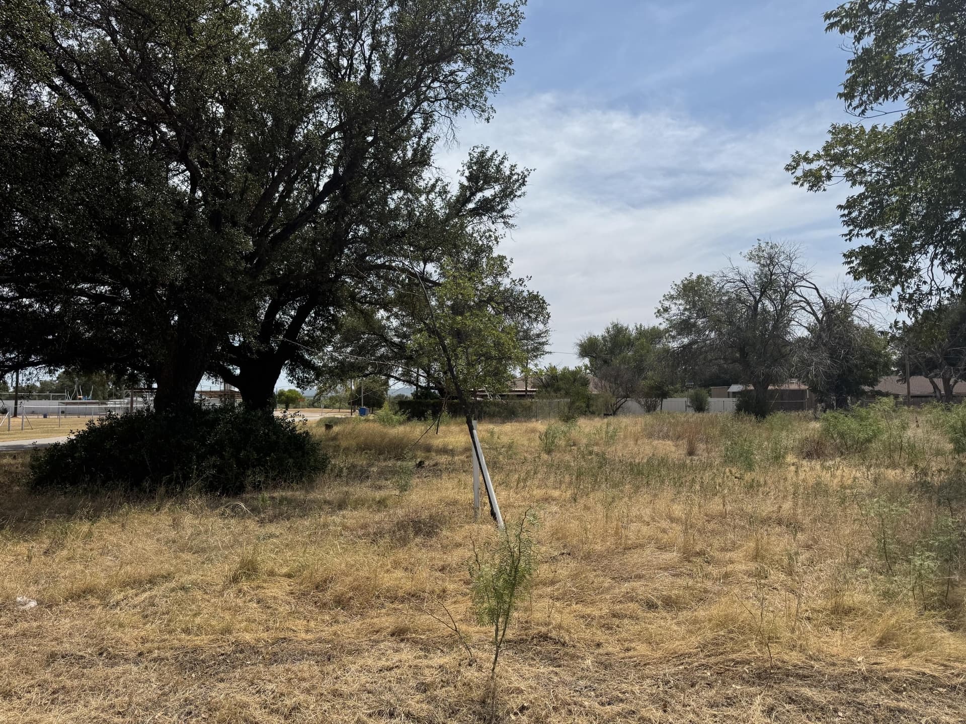 0.69 acres in Coke County - photo 16