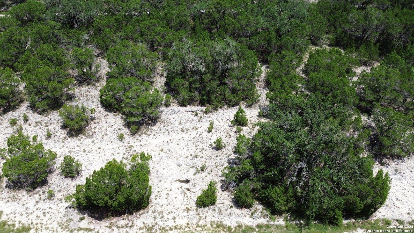 0.17 acres in Comal County gallery image 3