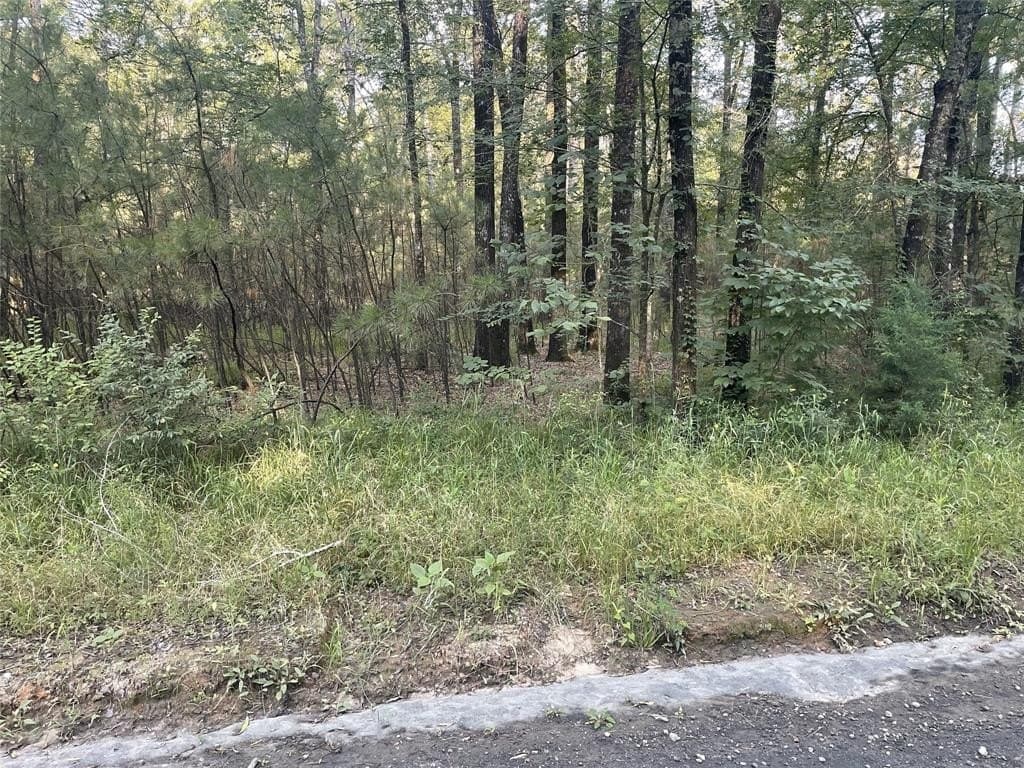 17 acres in Shelby County featured view