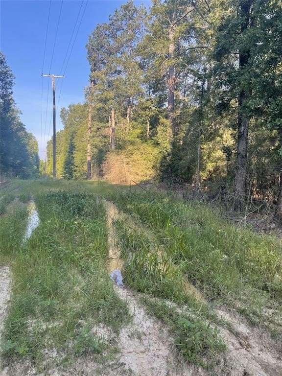 17 acres in Shelby County gallery image 3