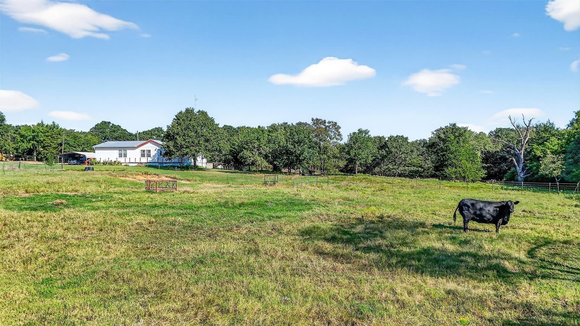 10.82 acres in Grayson County - photo 9