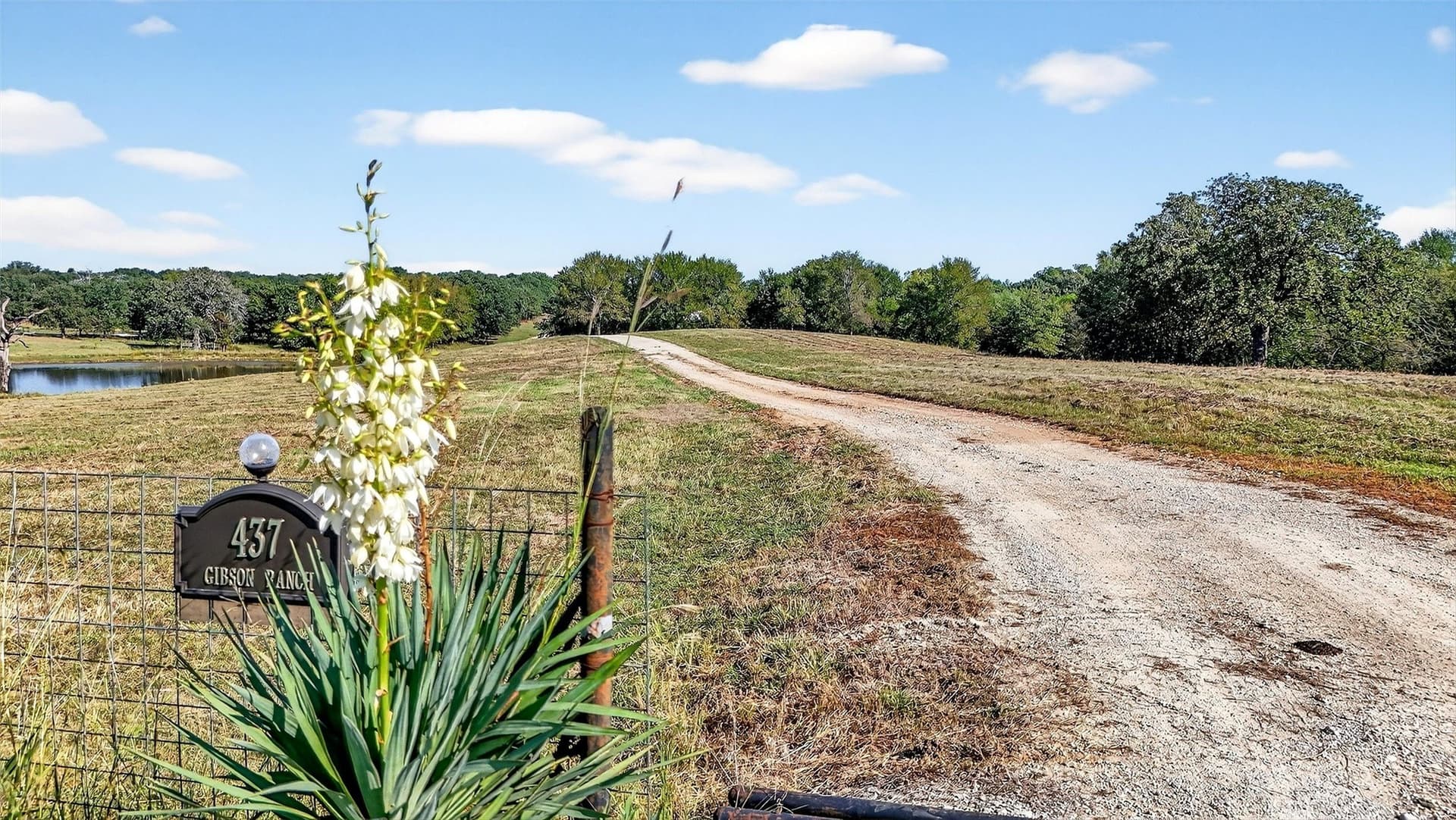 10.82 acres in Grayson County - photo 10
