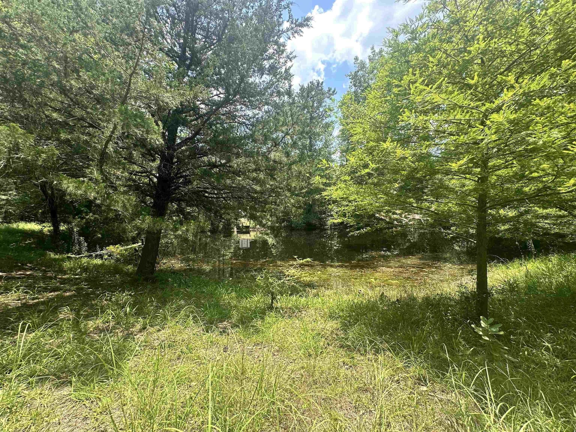 16.54 acres in Texas County gallery image 4