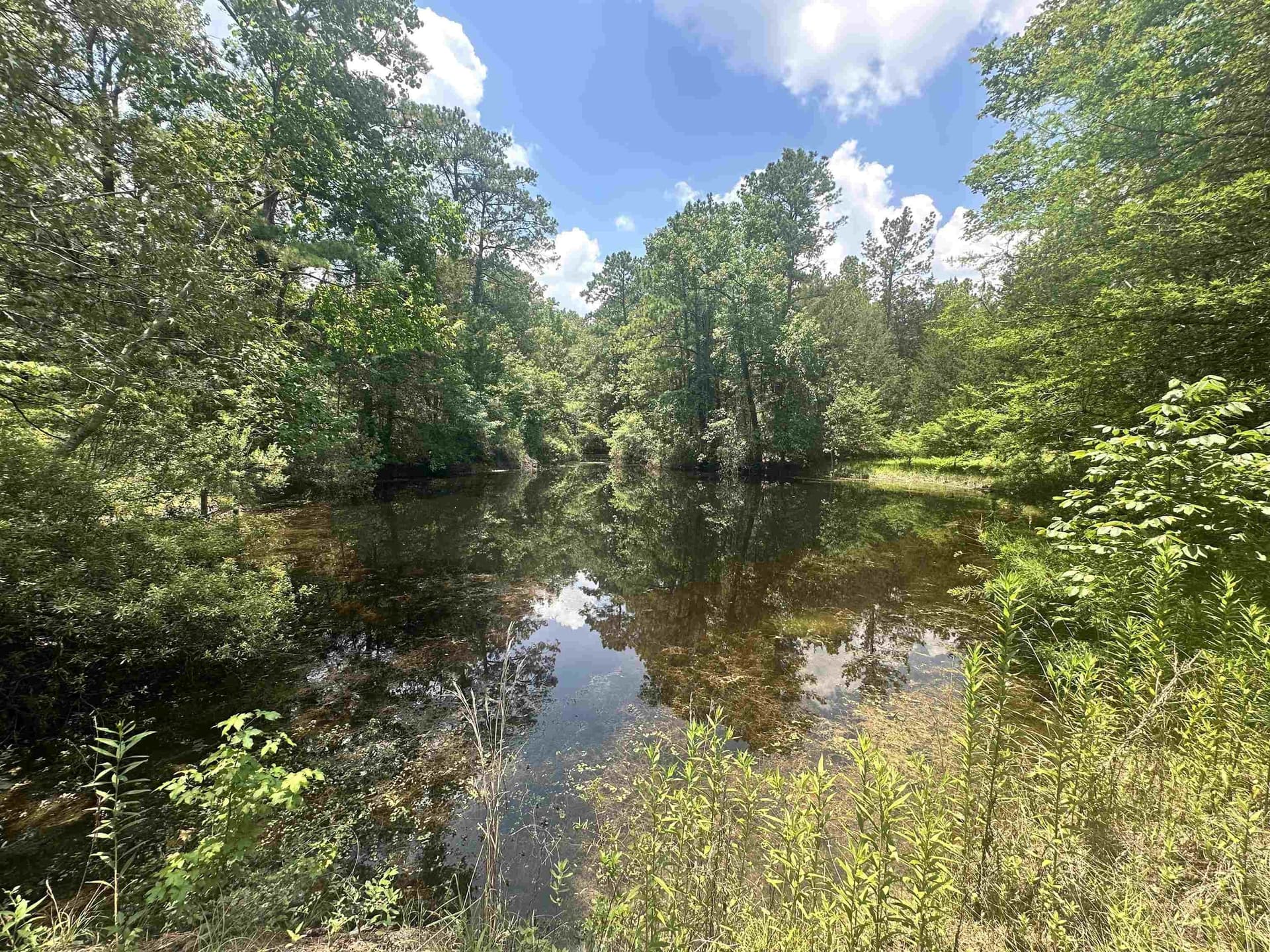 16.54 acres in Texas County gallery image 3