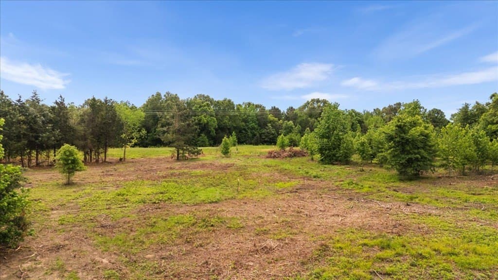 2 acres in Texas County - photo 13