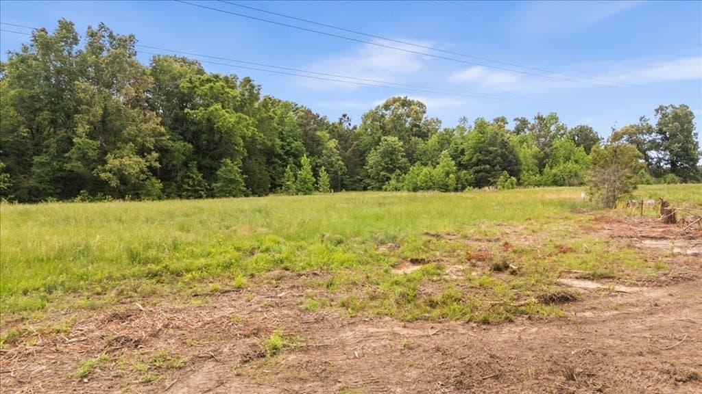 2 acres in Texas County - photo 18