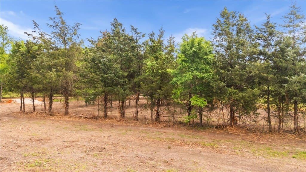 2 acres in Texas County - photo 14