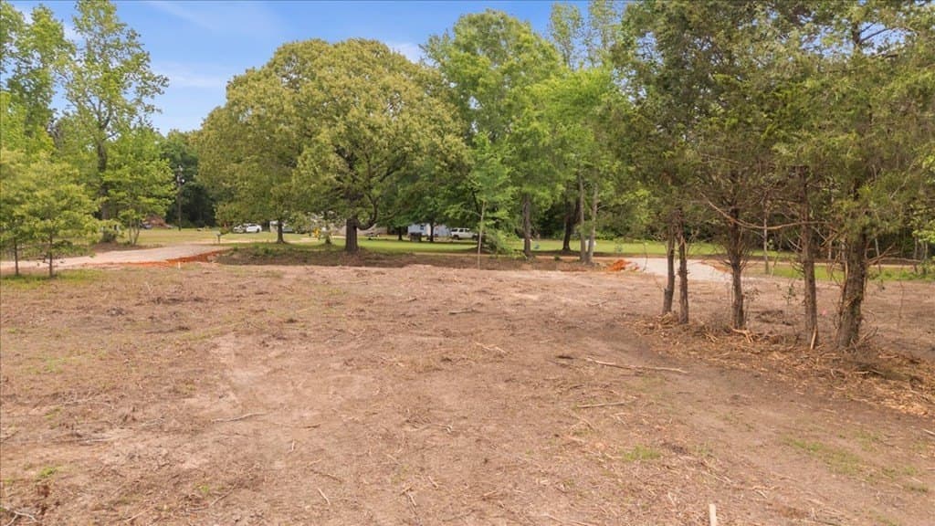 2 acres in Texas County - photo 15