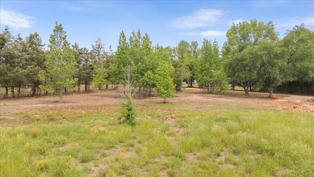 2 acres in Texas County - photo 21