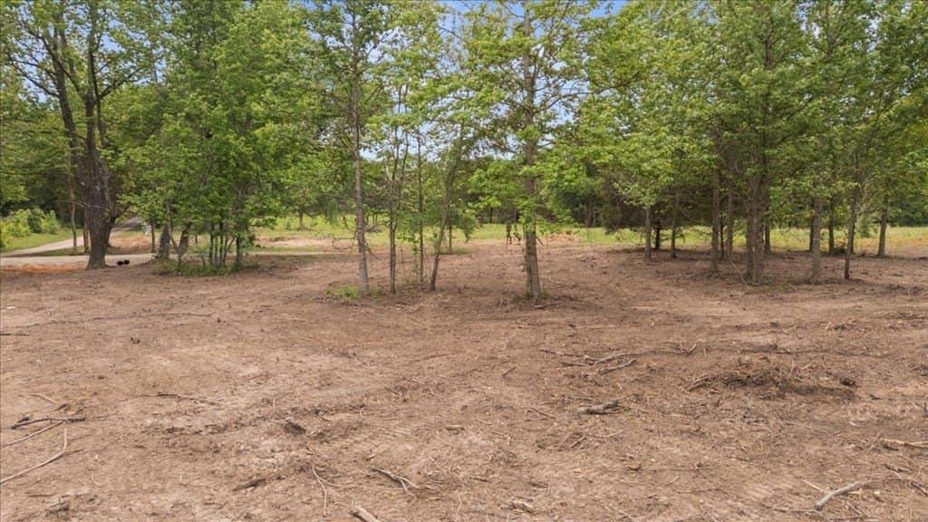 2 acres in Texas County - photo 16