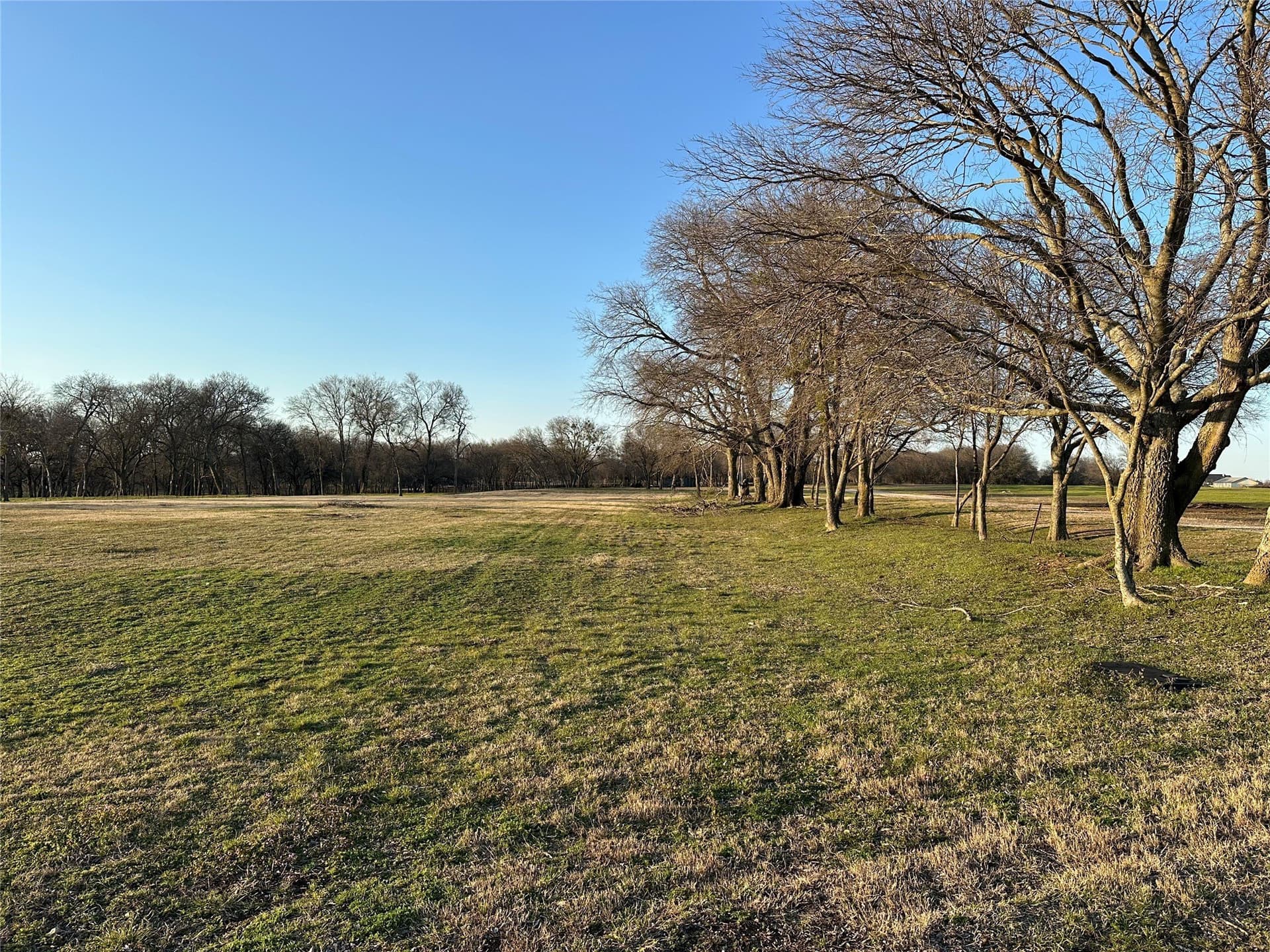 17.6 acres in Grayson County - photo 11