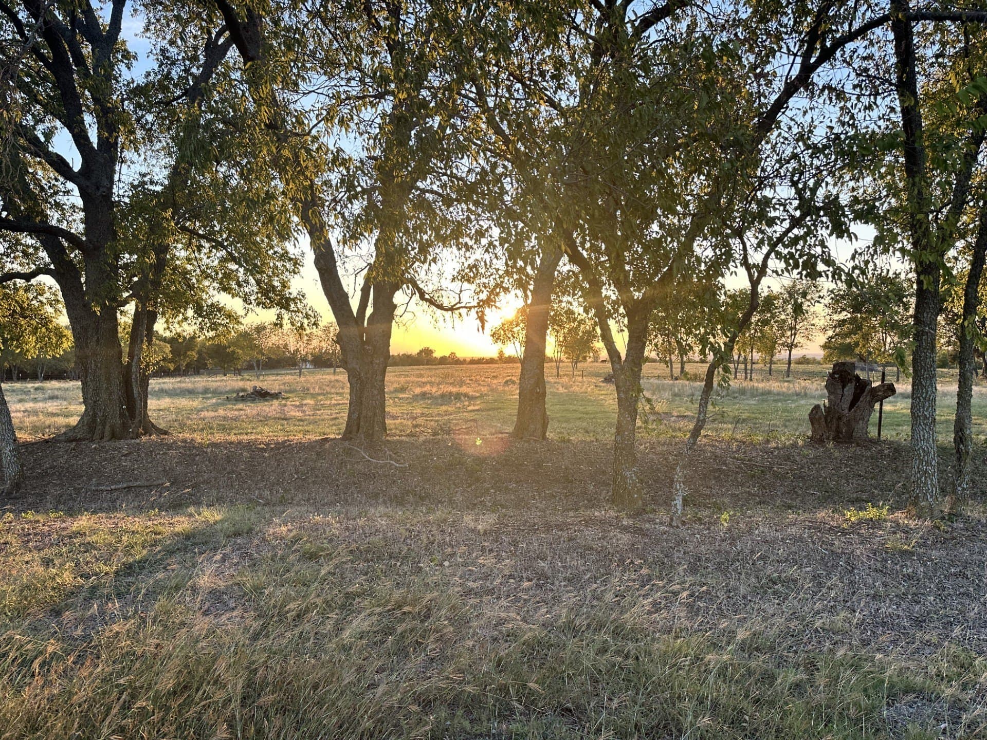 17.6 acres in Grayson County - photo 4