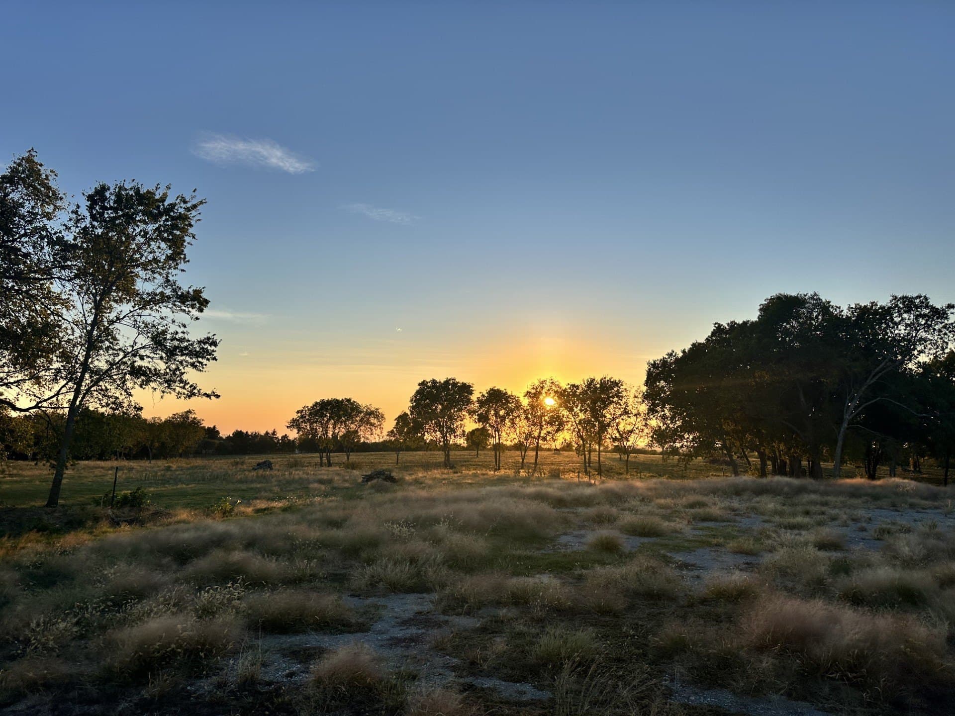 17.6 acres in Grayson County - photo 2