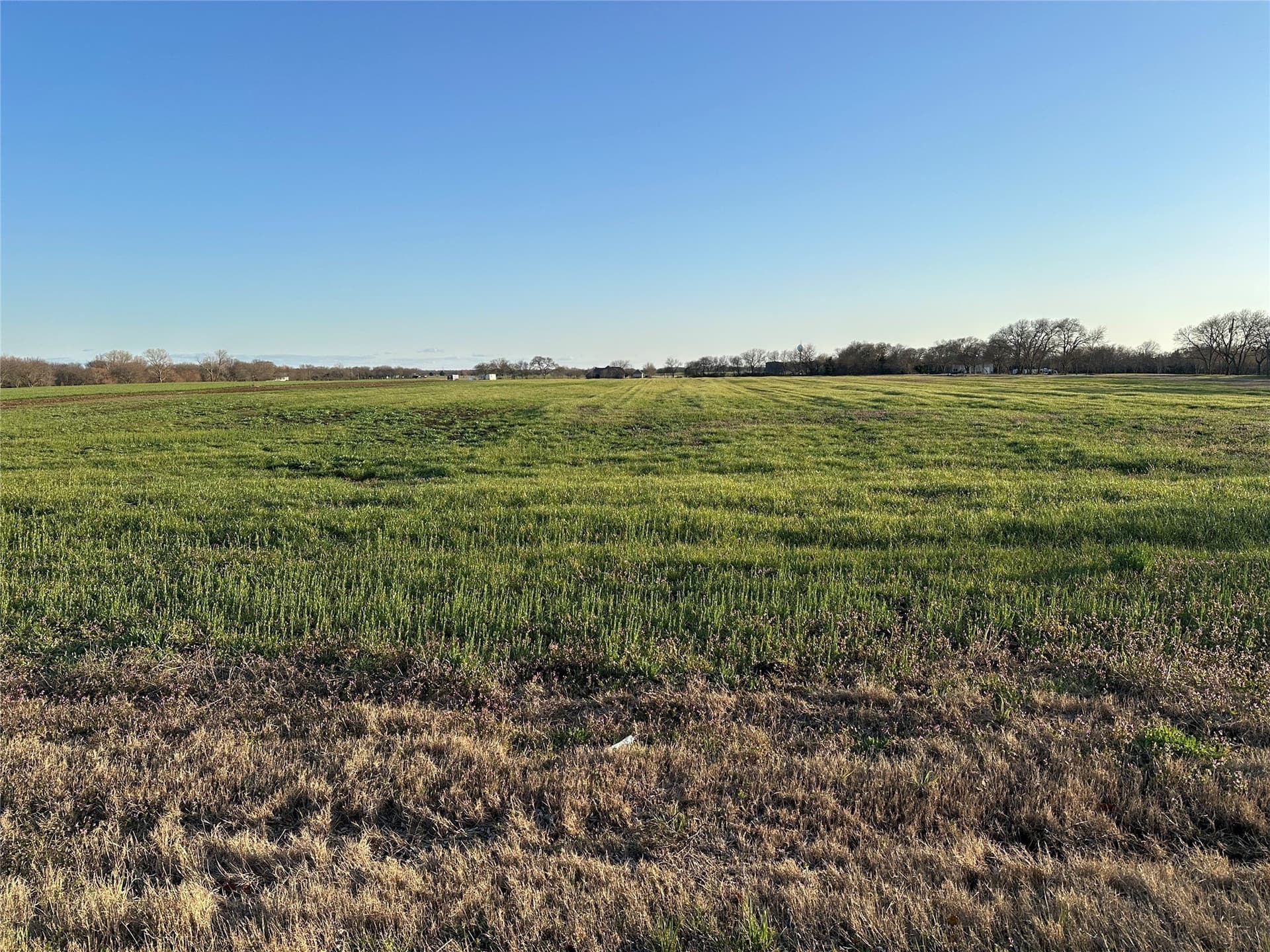 17.6 acres in Grayson County - photo 23
