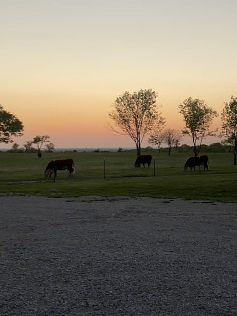 17.6 acres in Grayson County - photo 3
