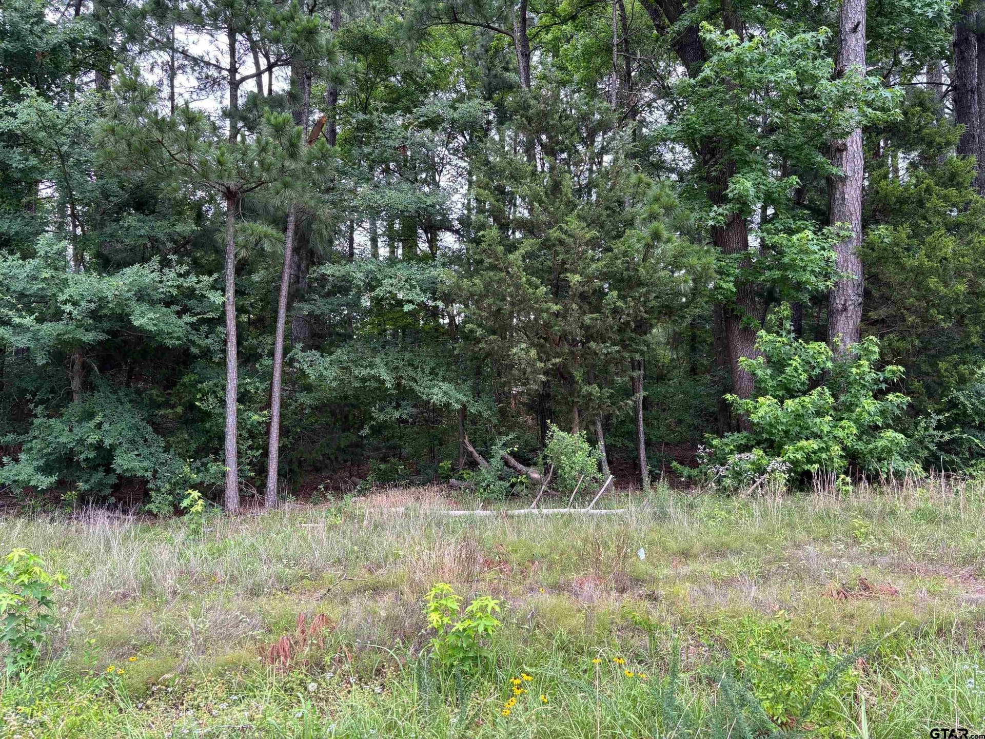 1.94 acres in Camp County - photo 3