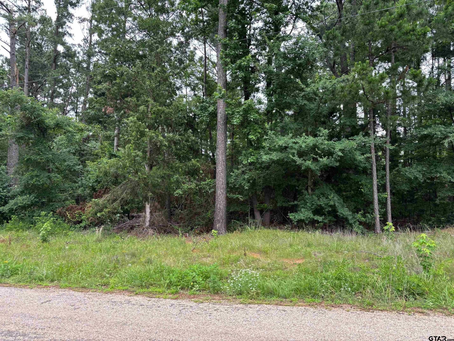 1.94 acres in Camp County - photo 2