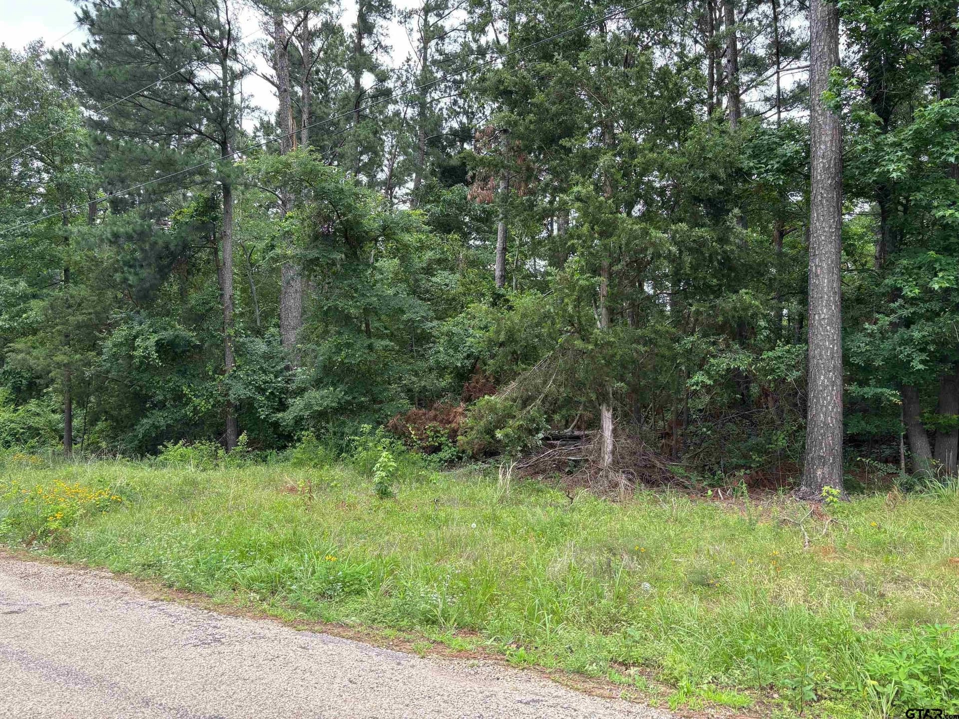 1.94 acres in Camp County - photo 4