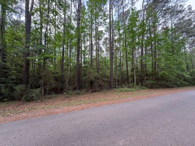 0.28 acres in Texas County gallery image 2