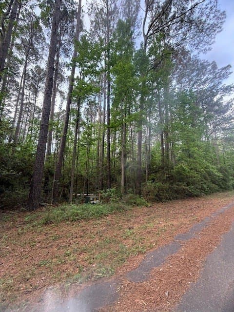 0.28 acres in Texas County gallery image 3