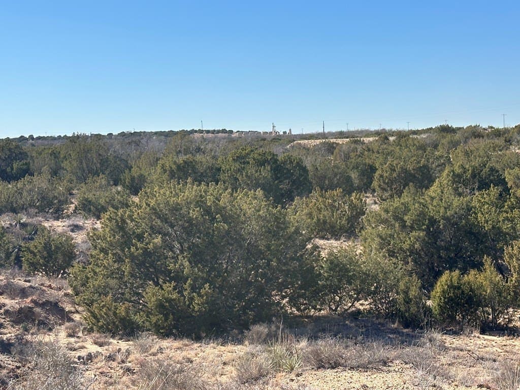 160 acres in Scurry County - photo 6