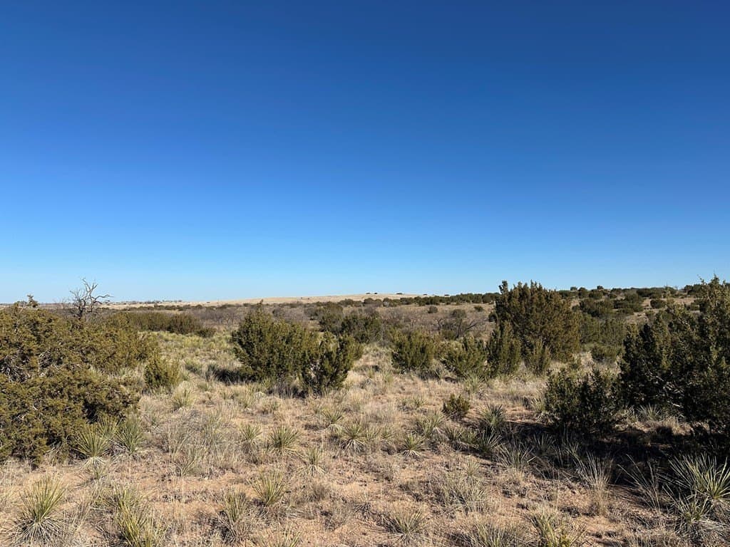160 acres in Scurry County - photo 10