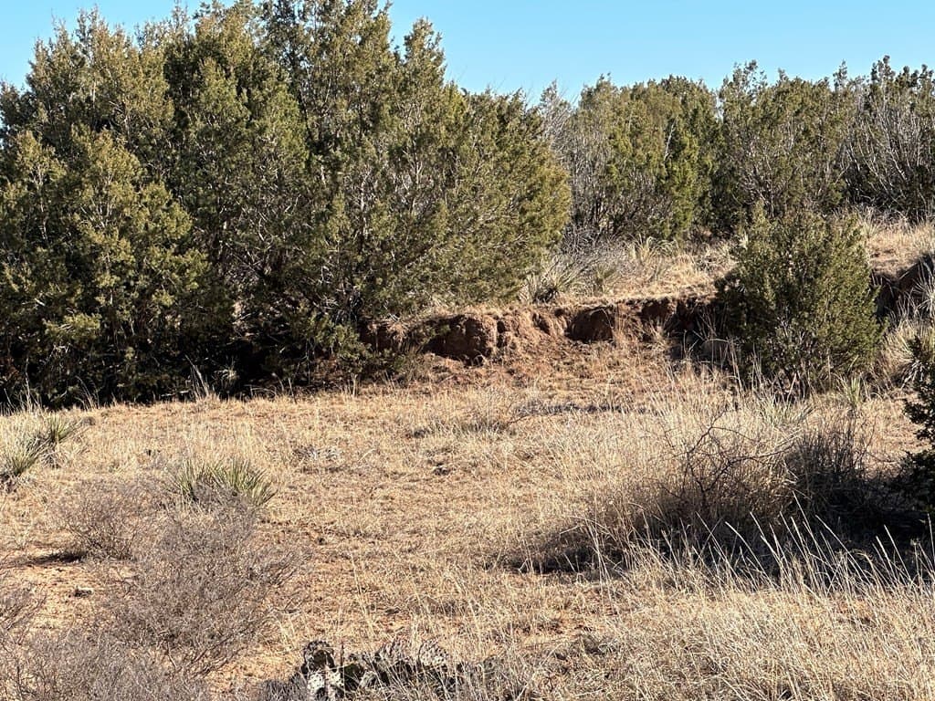 160 acres in Scurry County gallery image 3