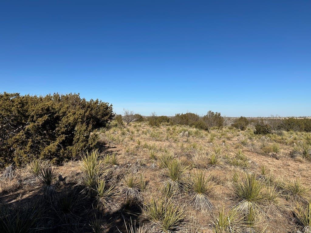 160 acres in Scurry County - photo 14