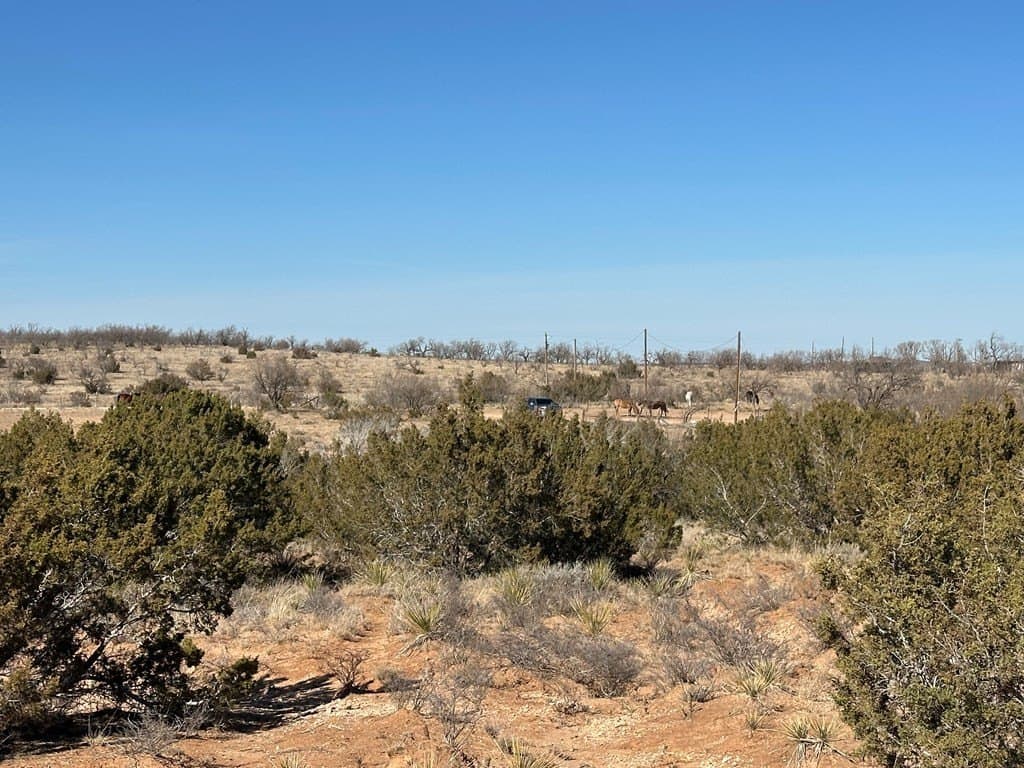160 acres in Scurry County - photo 7