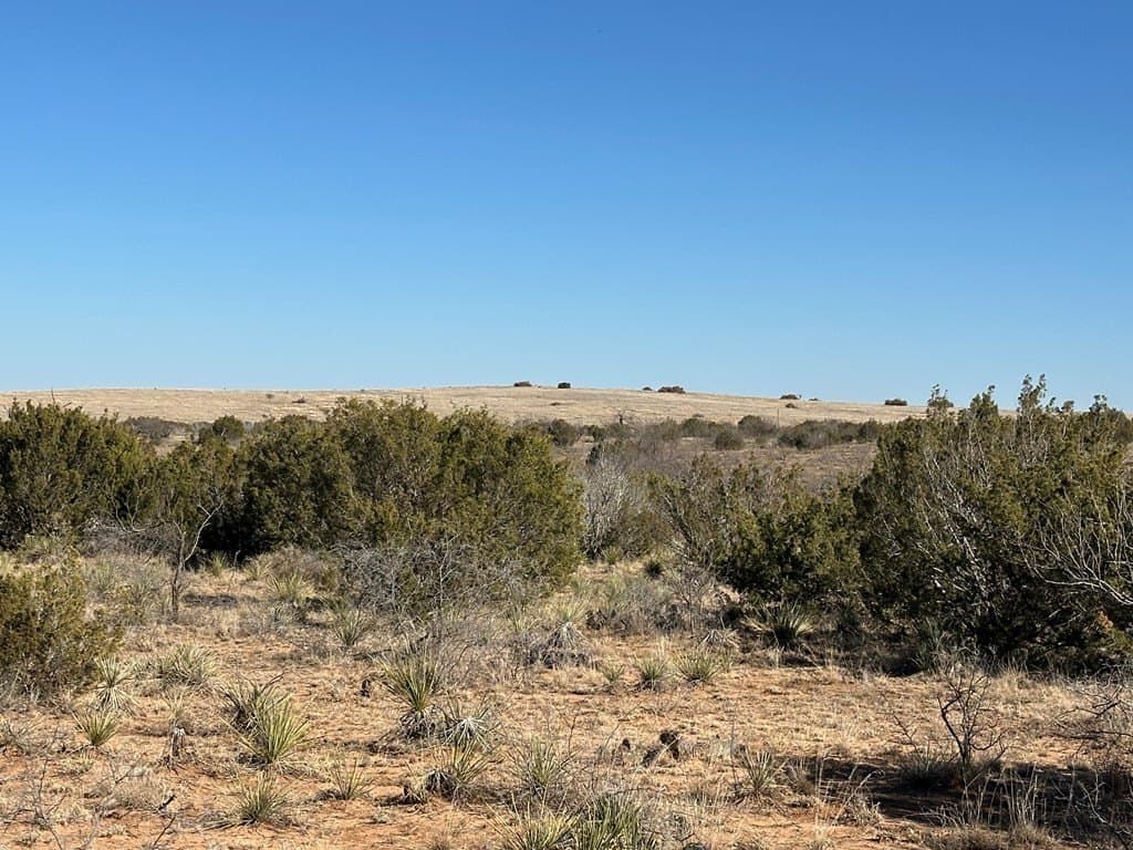160 acres in Scurry County - photo 8