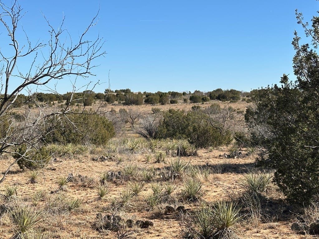 160 acres in Scurry County - photo 11